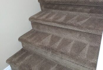 professional-carpet-cleaning